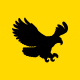 Logo Eagle Amarelo2